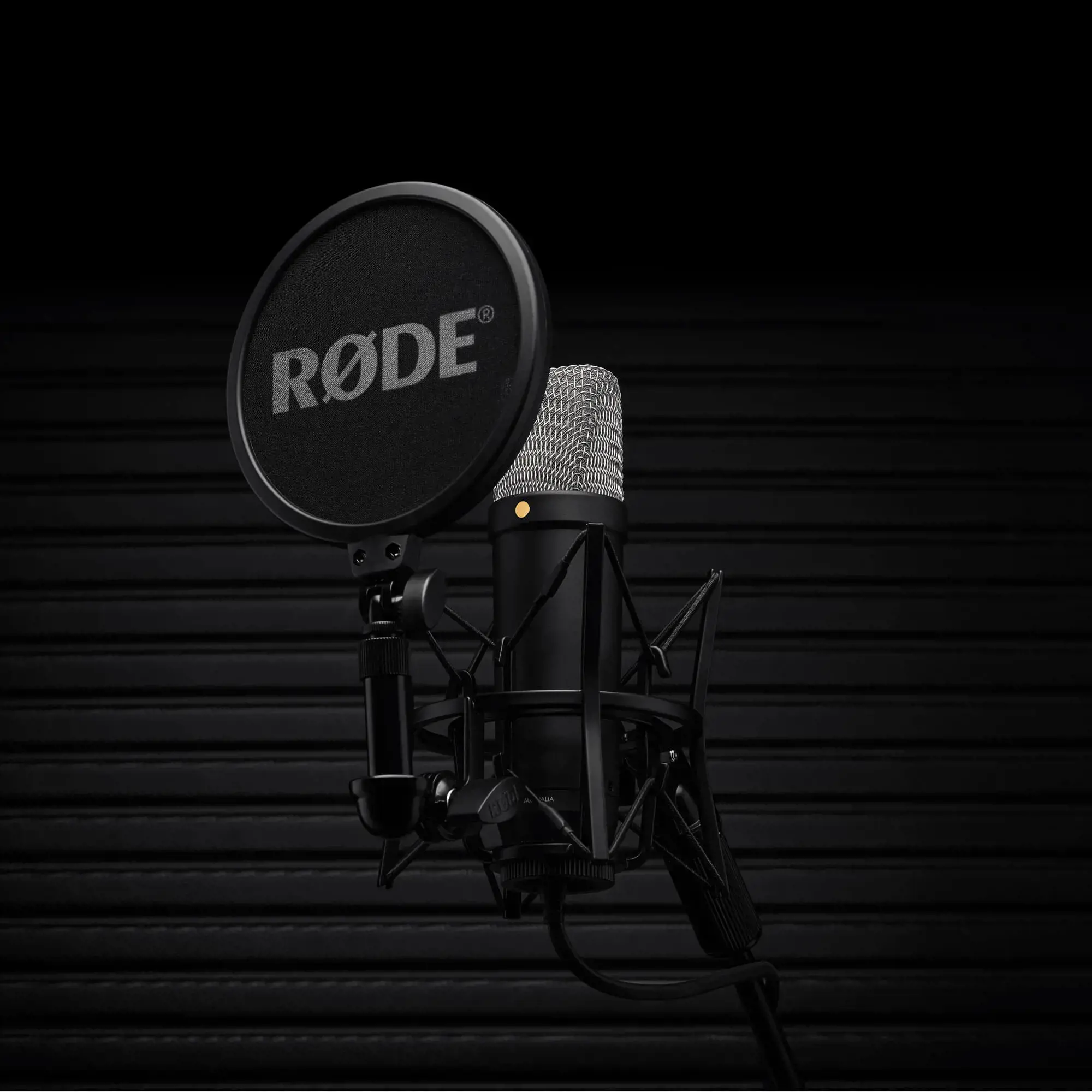 "Rode" mikrofonas NT1 5-osios kartos, juodas (NT1GEN5B)