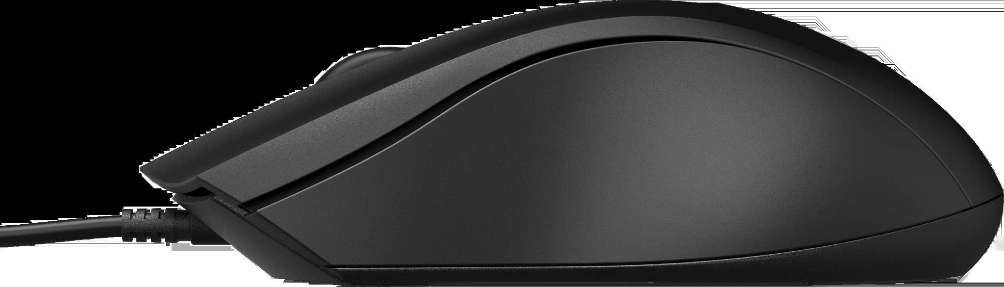 HP laidinė pelė 100