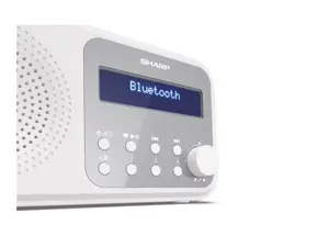 "Sharp DR-P420", nešiojamasis, skaitmeninis, DAB, DAB+, FM, automatinis nuskaitymas, automatinis derinimas, 2 W, AAC