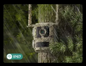 Reolink Camovue Talon S130 4G LTE Trail Camera | Reolink