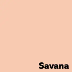 Spalvotas popierius IMAGE COLORACTION, A4, 80 gsm, 50 lapų, SAVANA / PALE SALMON