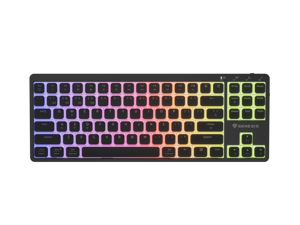 Genesis Thor 430 TKL | Gaming Keyboard | Wireless | Bluetooth | US | Linear | Black
