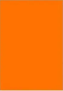 Spalvotas kartonas A2/170g oranžinis