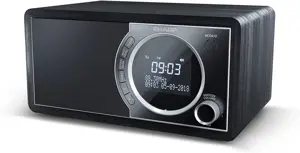 Sharp DR-450, asmeninis, skaitmeninis, DAB, DAB+, FM, 87,5 - 108 MHz, 174,928 - 239,2 MHz, 3 W