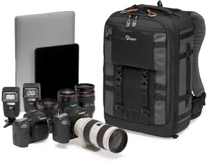 "Lowepro" kuprinė "Pro Trekker BP 350 AW II", pilka (LP37268-GRL)