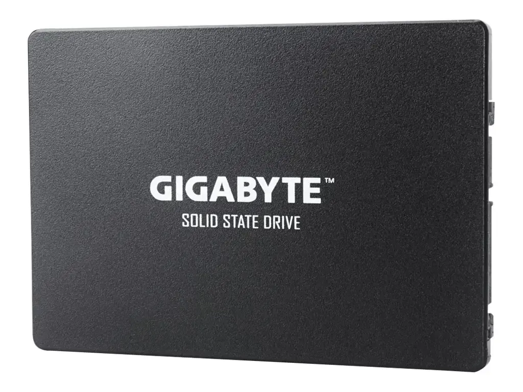 SSD diskas GIGABYTE GP-GSTFS31256GTND 256 GB, 2.5", Serial ATA III