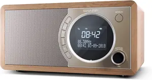 Sharp DR-450, asmeninis, skaitmeninis, DAB, DAB+, FM, 87,5 - 108 MHz, 174,928 - 239,2 MHz, 3 W