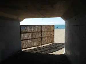 Pentax WG-1000, green