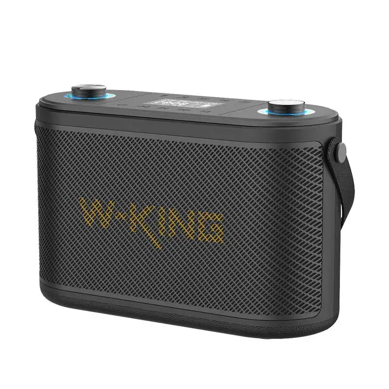 "Bluetooth" belaidis garsiakalbis W-KING H10 120W (juodas)