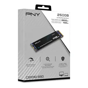 SSD diskas PNY M280CS1030-250-RB 250 GB, M.2, PCI Express 3.0