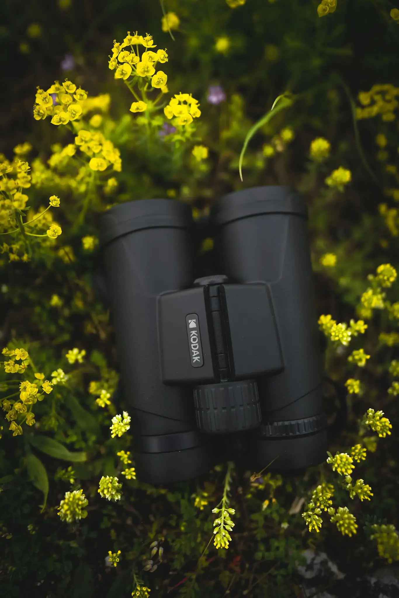 Kodak binoculars BCS800 10x42mm, black