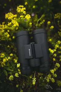 Kodak binoculars BCS800 10x42mm, black