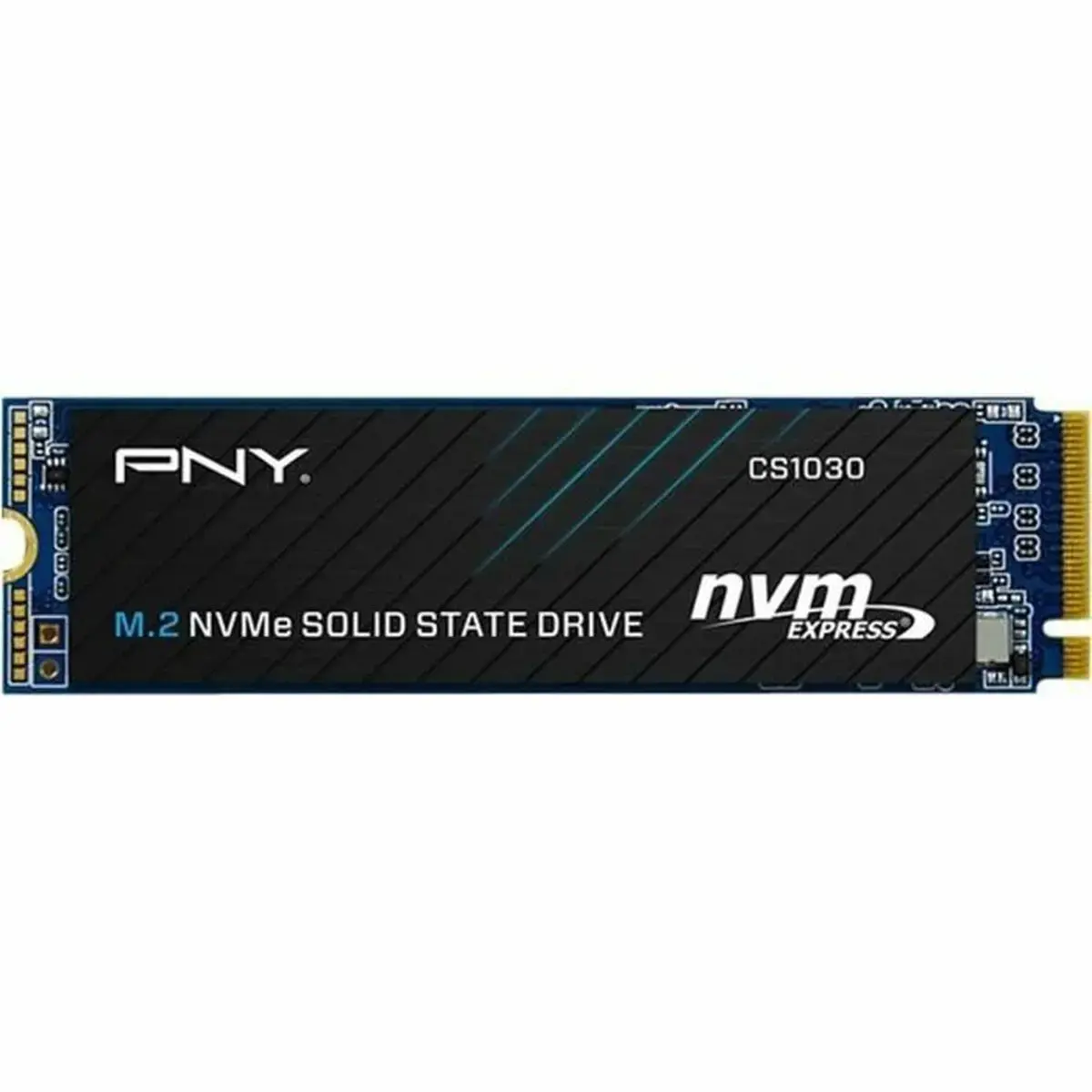 SSD diskas PNY M280CS1030-500-RB 500 GB, M.2, PCI Express 3.0