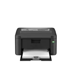 Brother HL L1240W