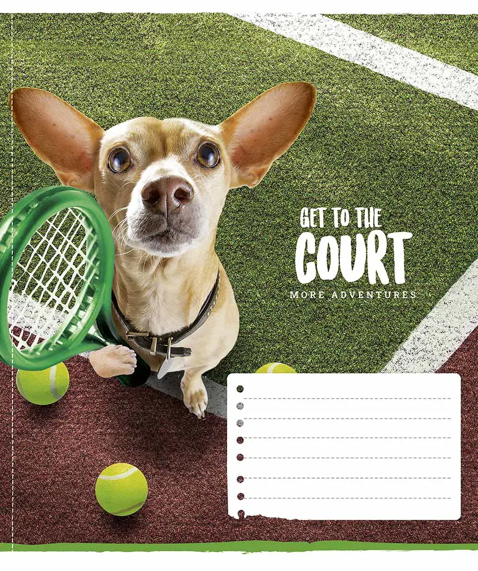 Sąsiuvinis Schoolboy, 12 lapų, 60 gsm, langeliais