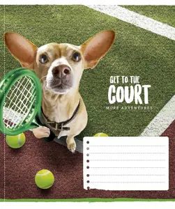 Sąsiuvinis Schoolboy, 12 lapų, 60 gsm, langeliais