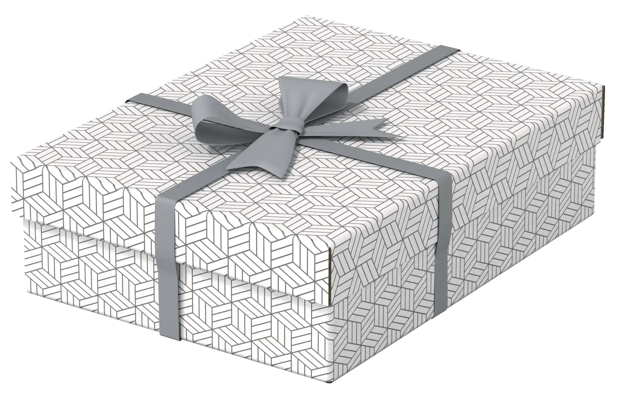 Daiktadėžė ESSELTE, su dangteliu, 265x100x360 balta-pilka (3vnt./pak.)