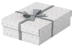 Daiktadėžė ESSELTE, su dangteliu, 265x100x360 balta-pilka (3vnt./pak.)