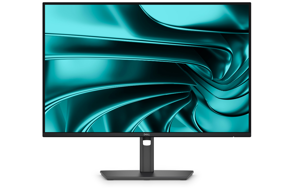 Dell Pro P 24 16:10 USB-C Hub Monitor - P2426E