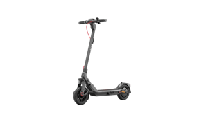 Paspirtukas Segway AA.05.19.02.0003, Pilka