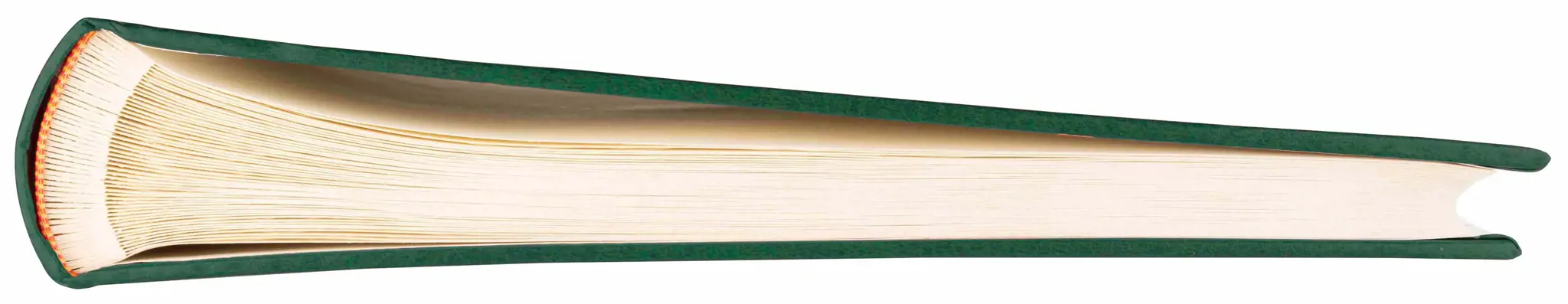 Albumas B100PG Classic Cream, žalias