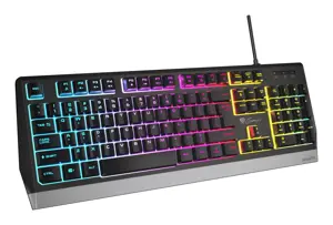 GENESIS RHOD 300 RGB, Full-size (100%), Wired, USB, Mechanical, QWERTY, Black