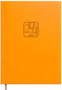 Darbo knyga-kalendorius 2024 m. A5 oranžinė sp.