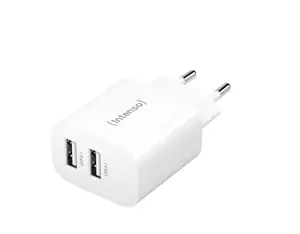 MAITINIMO ADAPTERIS 2XUSB-A/7802412 INTENSO