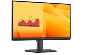 Dell Pro 22 Monitor - E2225HM, 54.48cm (21.45")