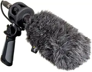 "Rode" priekinis stiklas WS6