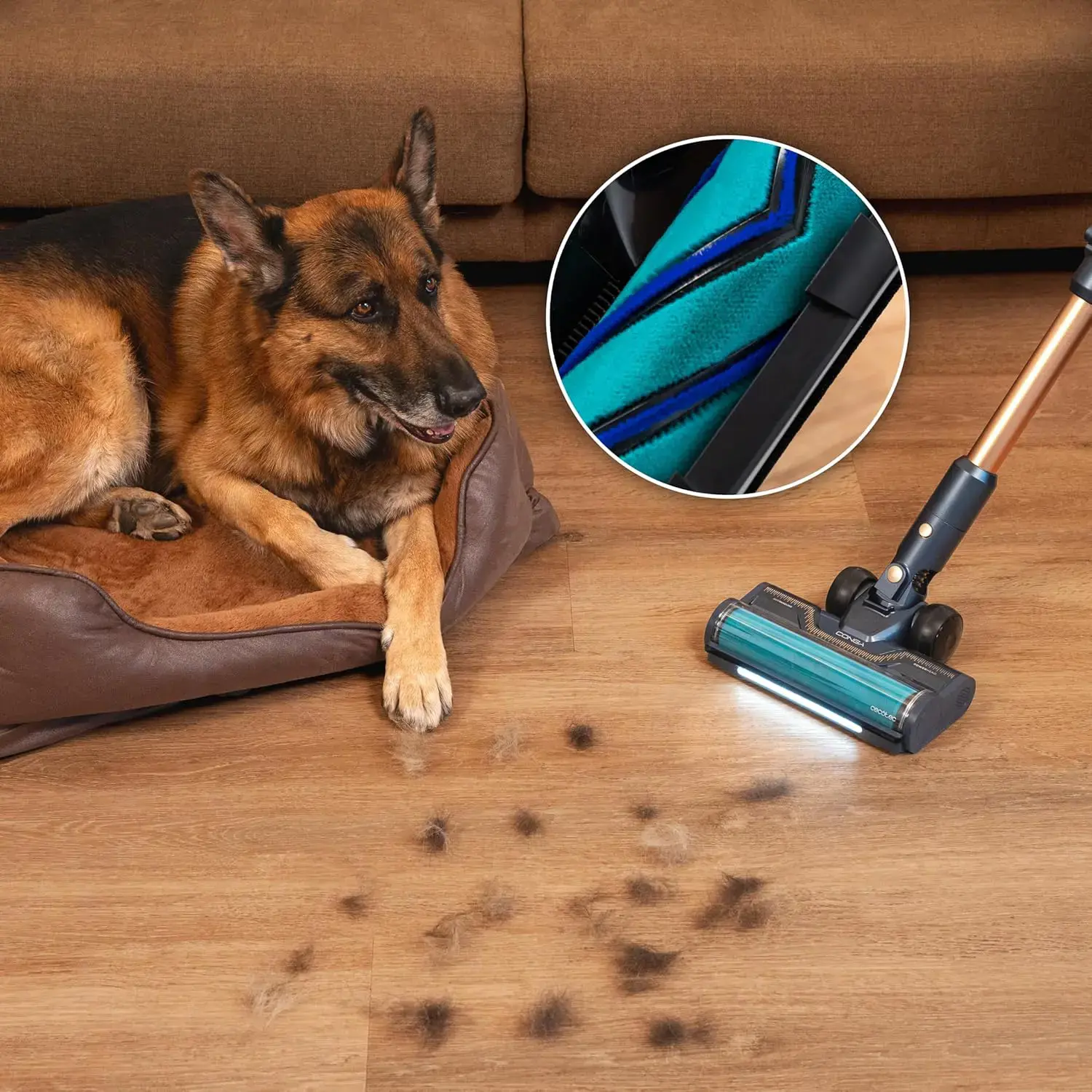 Cecotec Vacuum cleaner | Rockstar RX70 AquaPet Flex Conga | Cordless operating | Stick/handheld | 780 W | Operating time (max) 100 min | Blue/Gold