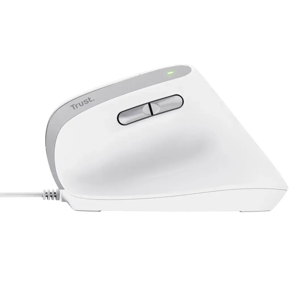 Trust Bayo II mouse Office Right-hand USB Type-A Optical 2400 DPI