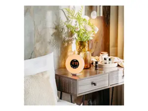 Adler Wake-Up Light Alarm Clock | AD 1916