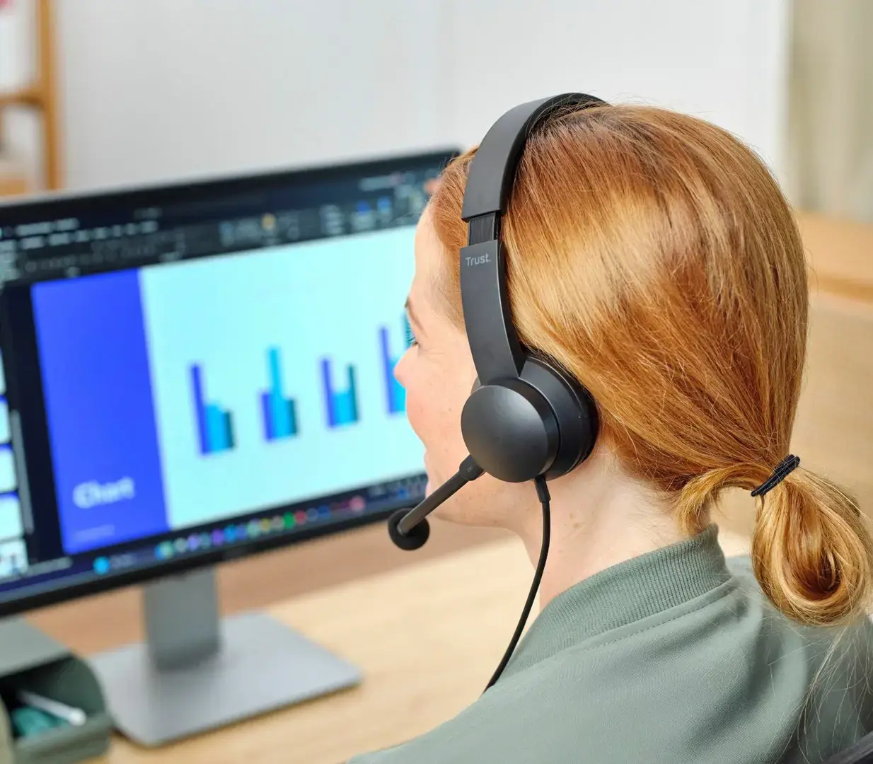 Trust HS-260 Headset Wired Neck-band Office/Call center USB Type-A Black