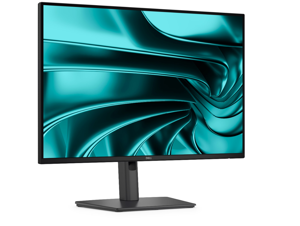 Dell Pro P 24 16:10 USB-C Hub Monitor - P2426E