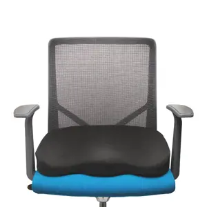 KENSINGTON Ergo atminties putų sėdynės pagalvėlė