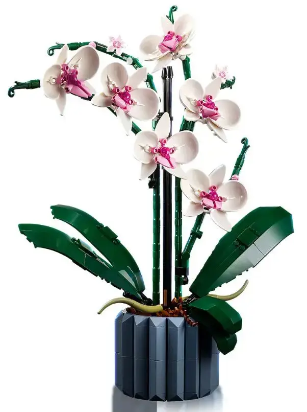 LEGO IKONOS 10311 ORCHIDĖJA