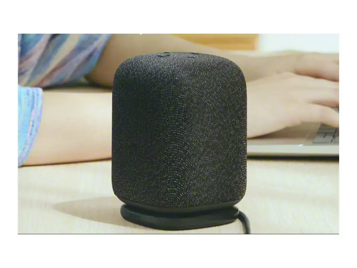 Sony Speaker | SRS-LS1 LinkBuds | Waterproof | Bluetooth | Black | Portable | Wireless connection