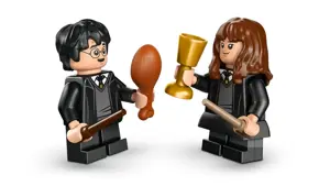 LEGO HARRY POTTER 76460 Hogwarts Castle - Sorting Hat Ceremony