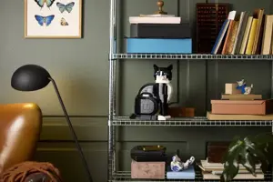 LEGO IDEAS 21349 Tuxedo Cat