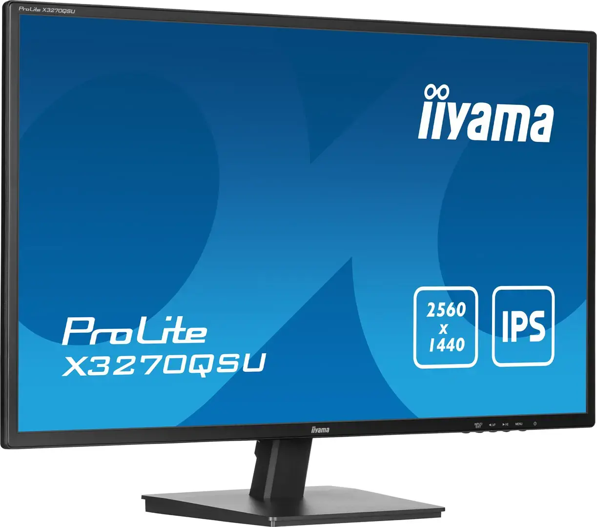 31,5" IPS, 2560x1440, 1DP1H,USB