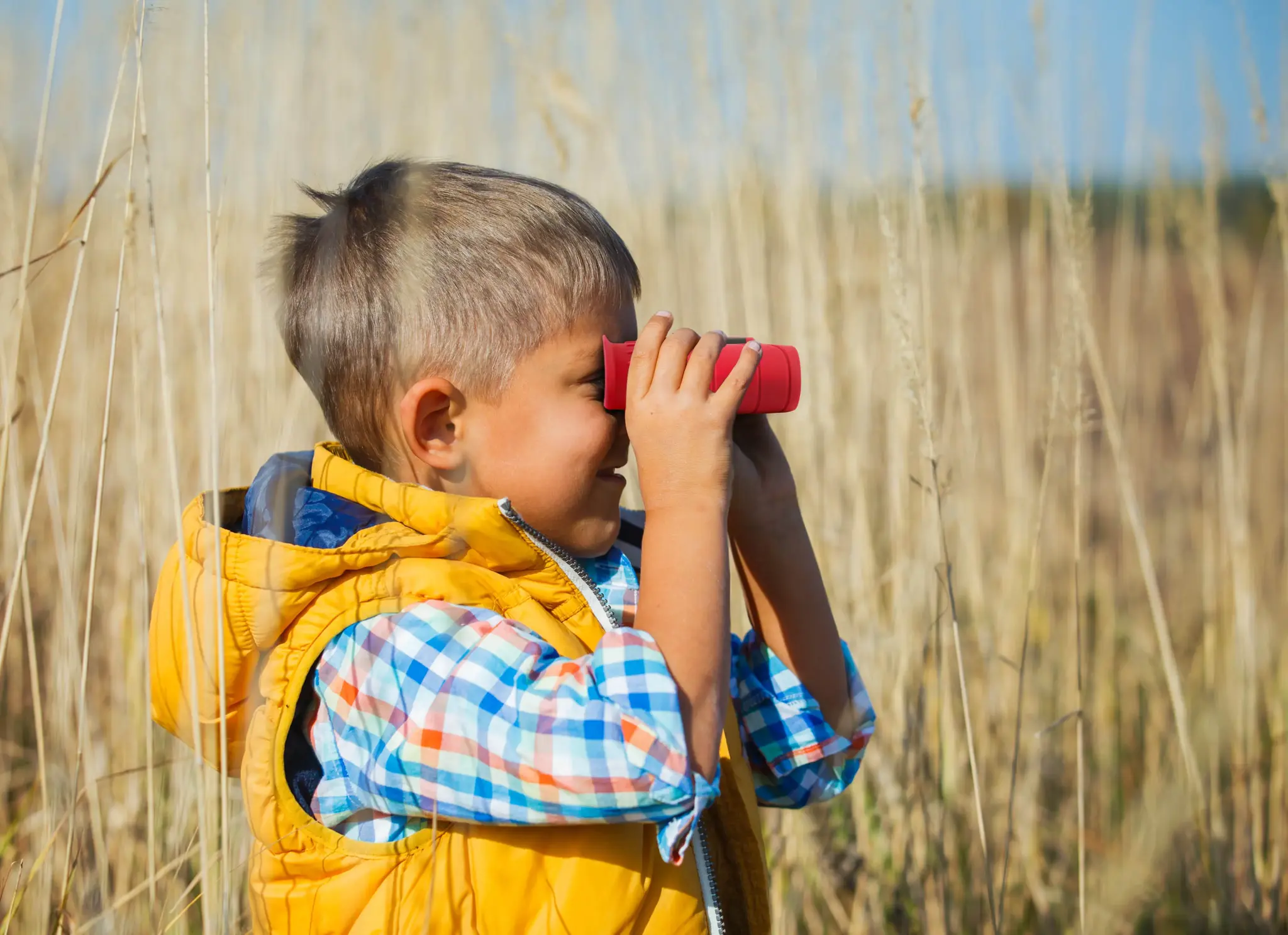 Kodak binokkel BCS100 8x21, red