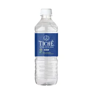 Mineralinis vanduo TICHĖ, 0.5 l, negazuotas, PET D