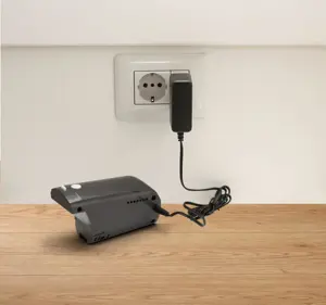 Dulkių siurblys GORENJE SVC252GFA