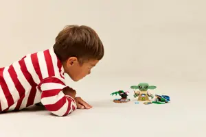 LEGO STAR WARS 75443 Grogu's Homestead