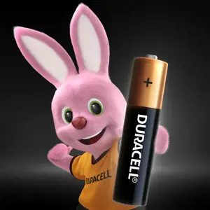 Baterijos DURACELL AAA, LR03, 2vnt