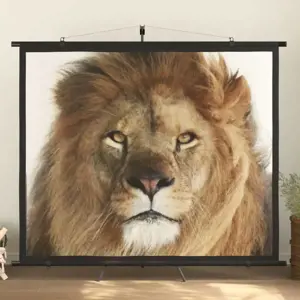 Projektoriaus ekranas, 90", 4:3