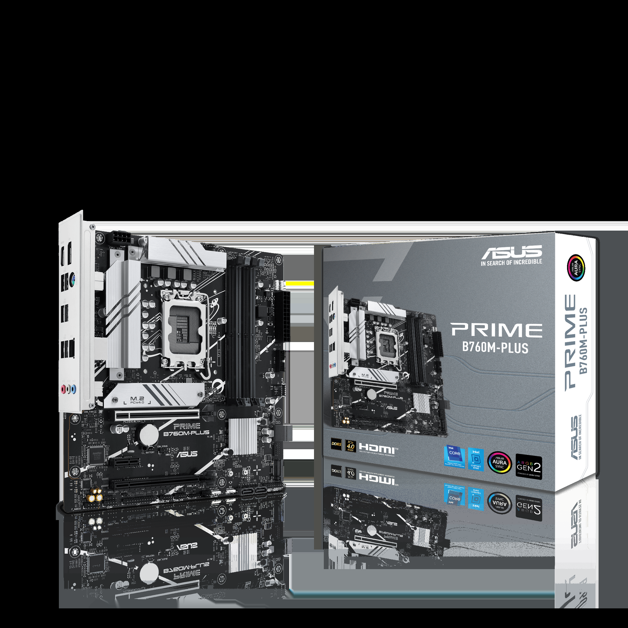 ASUS PRIME B760M-PLUS, Intel, LGA 1700, Intel® Celeron®, Intel® Pentium® Gold, Intel® Core™ i3, Intel® Core™ i5, Intel® Core™..., LGA 1700, DDR5-SDRAM, 192 GB