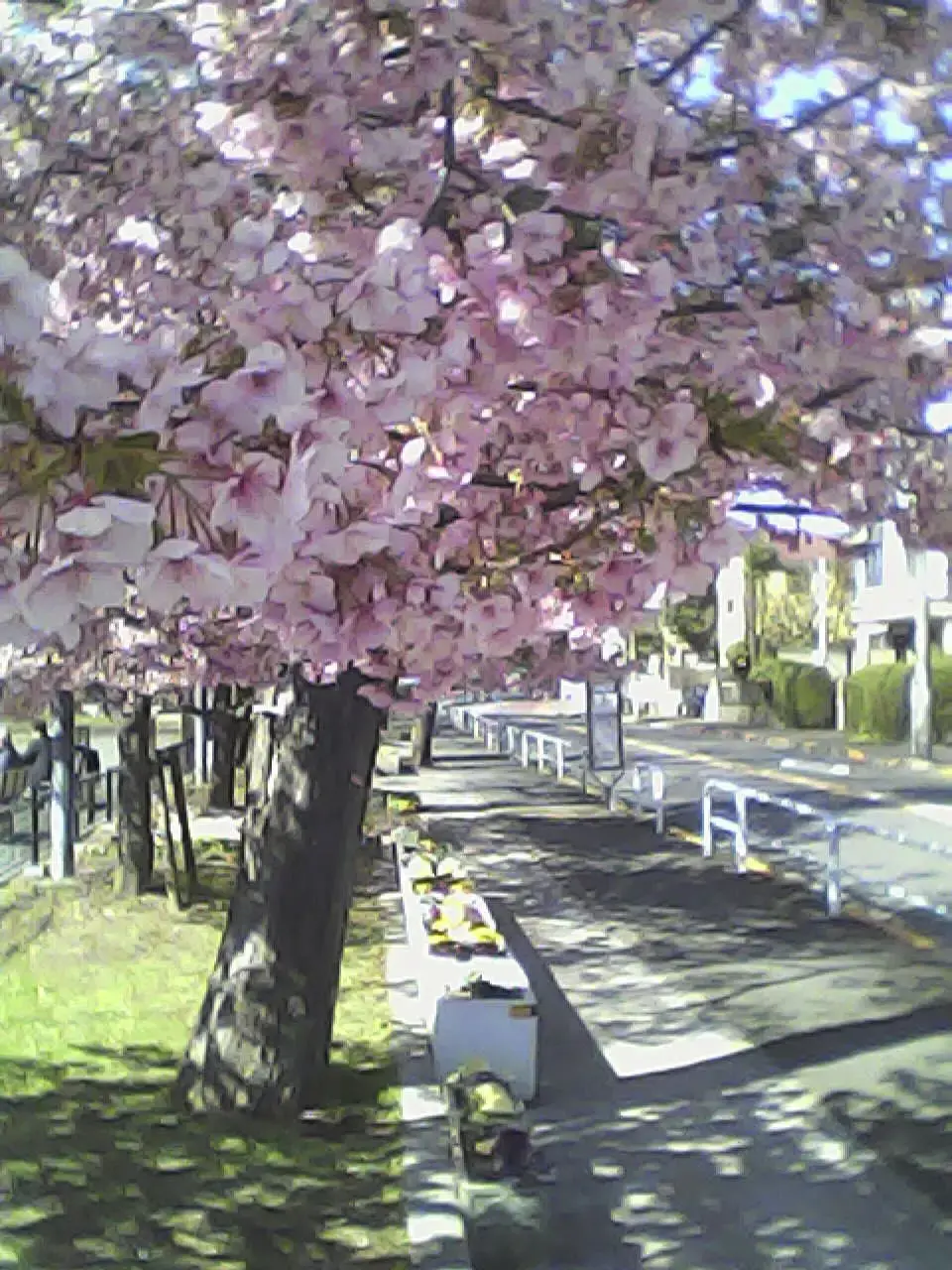 Kenko Toy Camera Pieni M, gray/blue