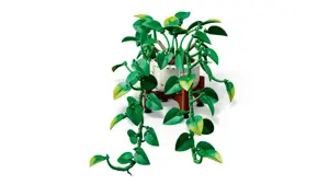 LEGO BOTANICALS 11512 Hanging Dragon Ivy